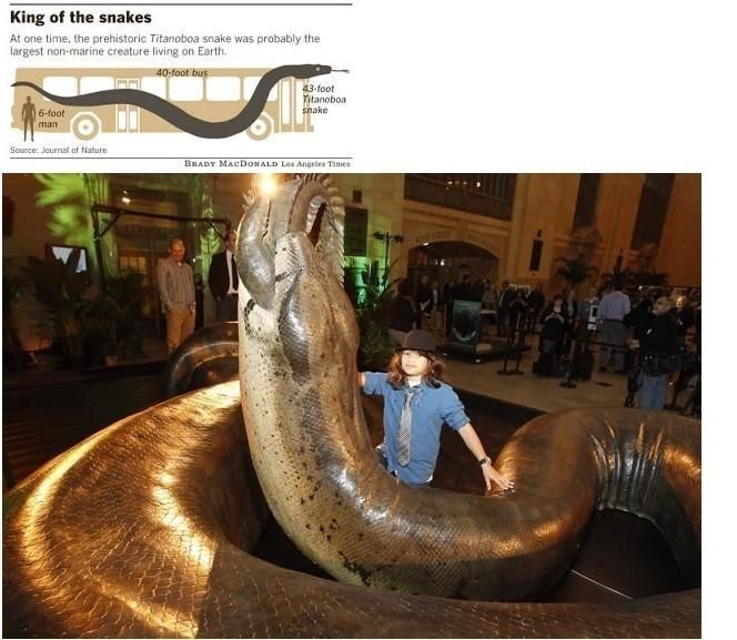 멸종한 타이탄 보아뱀.jpg