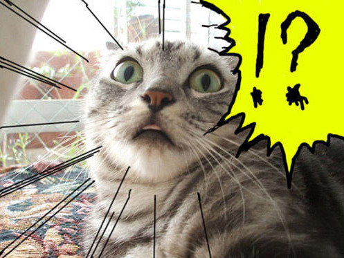 1일 1 IDW (11)_2.jpg