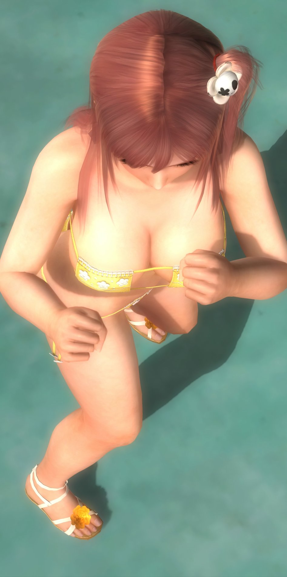 DEAD OR ALIVE 5 Last Round_20150305011421_stitch.jpg