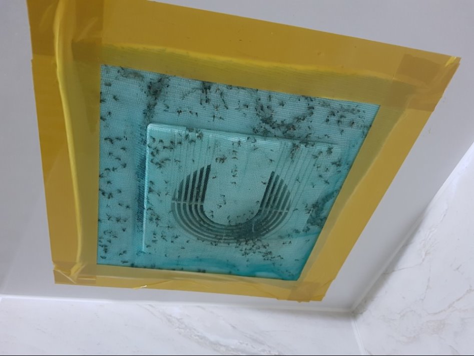 10월에 모기와의 전쟁 중입니다...(혐주의)_8.jpg