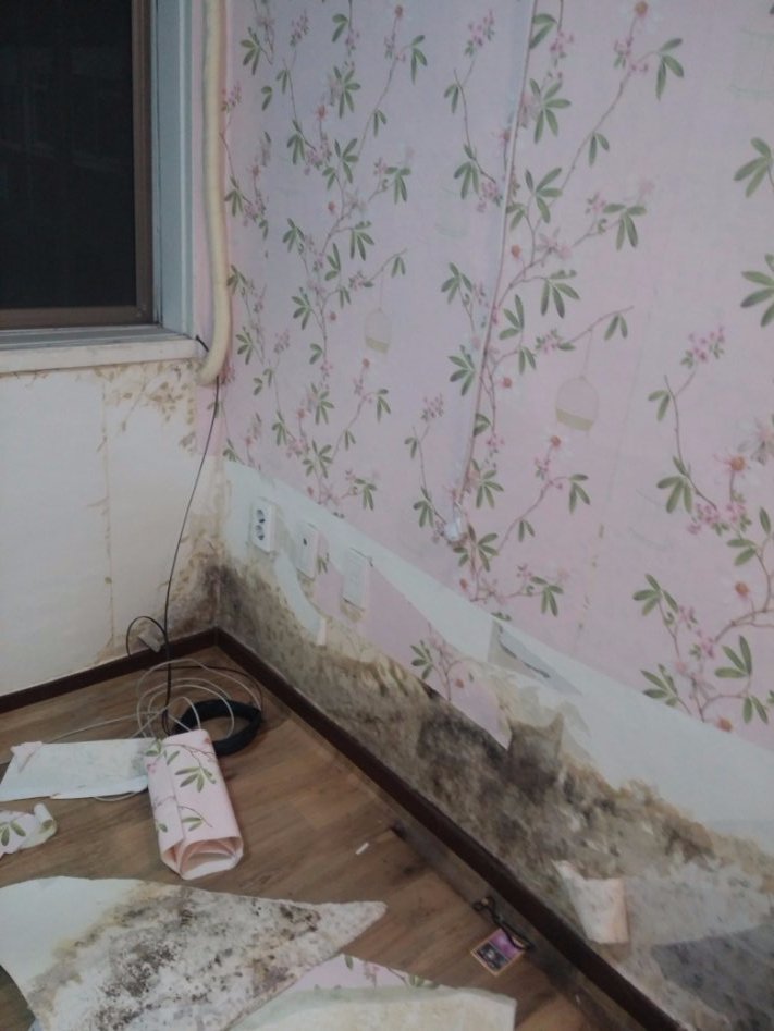 [스압]2400에 얻은 전세집 셀프 리모델링_8.jpg