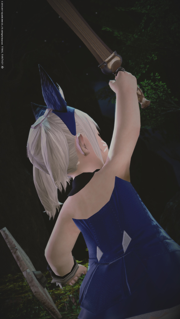 ffxiv_10082017_183554`.jpg