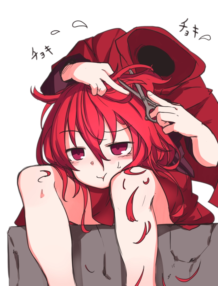 __sekibanki_touhou_drawn_by_furorina__46a59a3de3c0ea3ca98cdffc19409a1d.png