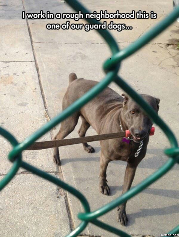 주인님 어서 자살을!!!!!.jpg_3.jpg