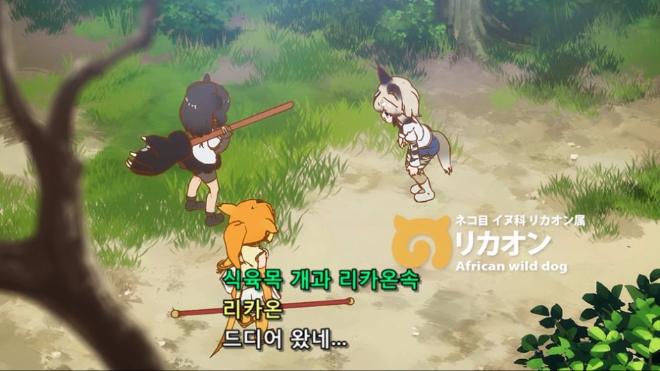 [케모노 프렌즈] 프렌즈에게 나타나는 실제 동물들의 특성 (스크롤, 데이터 주의)_66.jpg