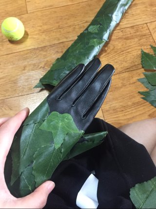 [DC comics] Poison Ivy (디씨 코믹스 - 포이즌 아이비)_12.jpg