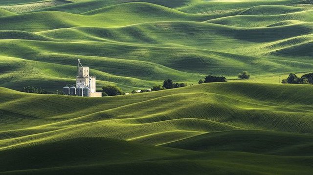 내셔널 지오그래픽 올해의 사진 후보._10.jpg