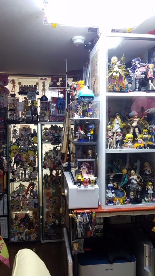 태고의달인 수집 덕후의 방입니다._9.jpg