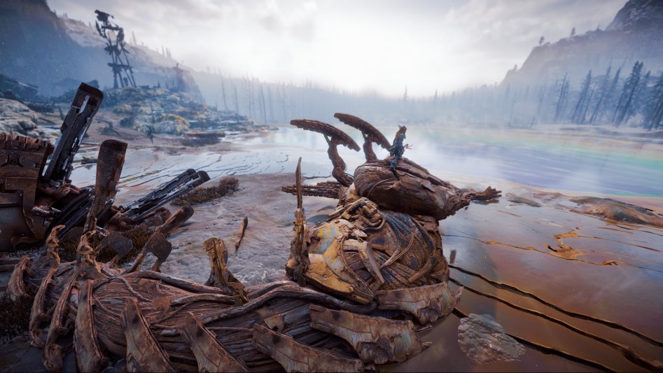 Horizon Zero Dawn™_20171118011706.png