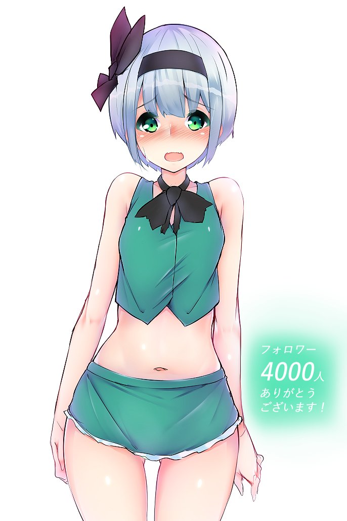 __konpaku_youmu_touhou_drawn_by_watari1118__e6a51af2e23d18bc66d24c43e79129b0.jpg