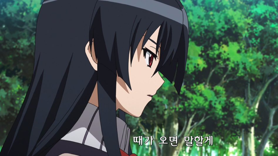 Akame ga Kill! - 04 (BD 1280x720 AVC AAC).mp4_002131.798.jpg