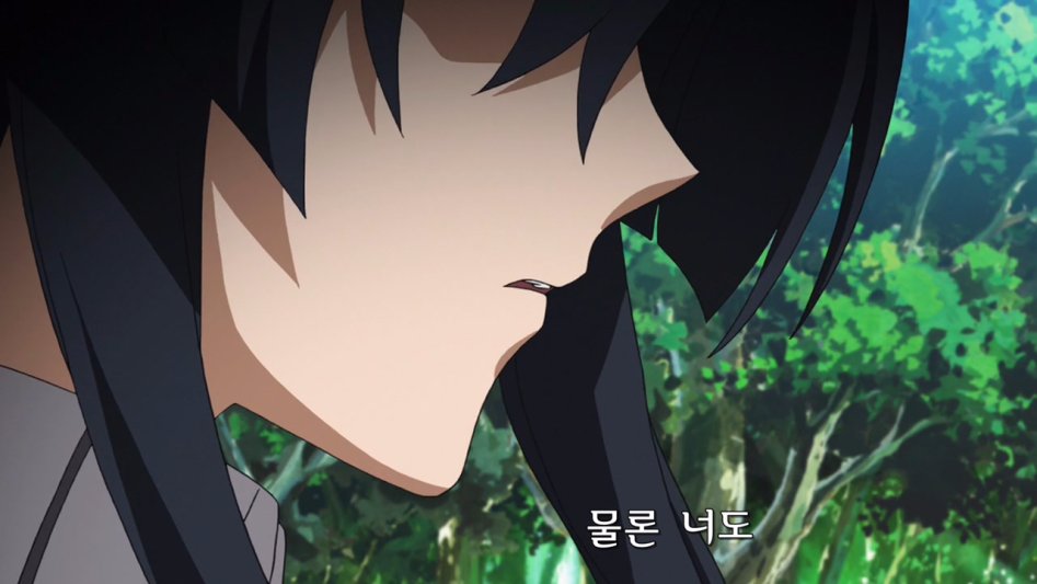 Akame ga Kill! - 04 (BD 1280x720 AVC AAC).mp4_002142.537.jpg