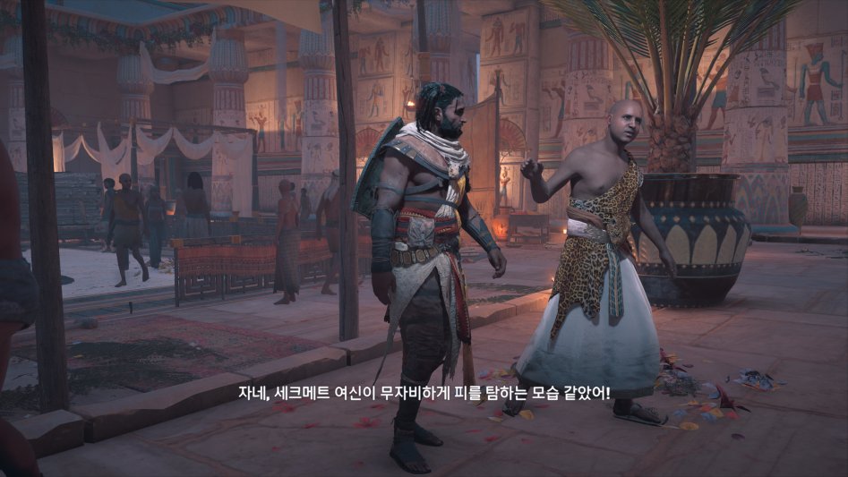 포맷변환_Assassin's Creed® Origins 2017-11-19 오후 4_09_08.jpg