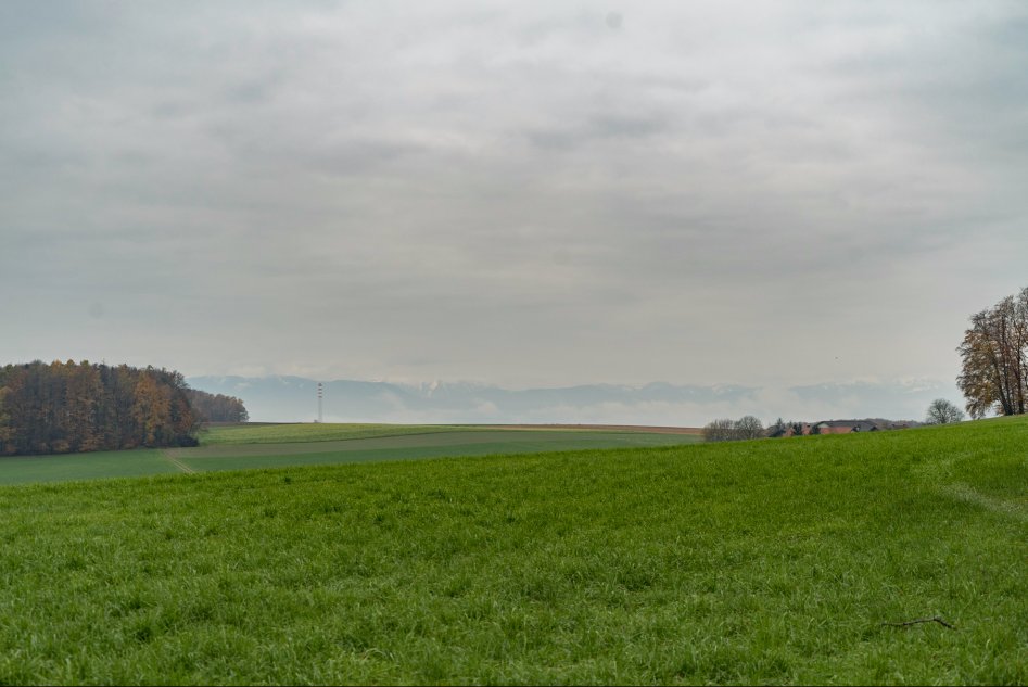 신혼여행으로 찾아간 오스트리아 Fucking 마을_20.jpg