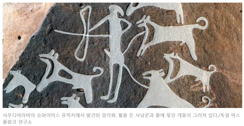 늑대, 언제 개로 변신했나.. 9000여년전 목줄 맨 사냥개 그림 찾았다1.jpg