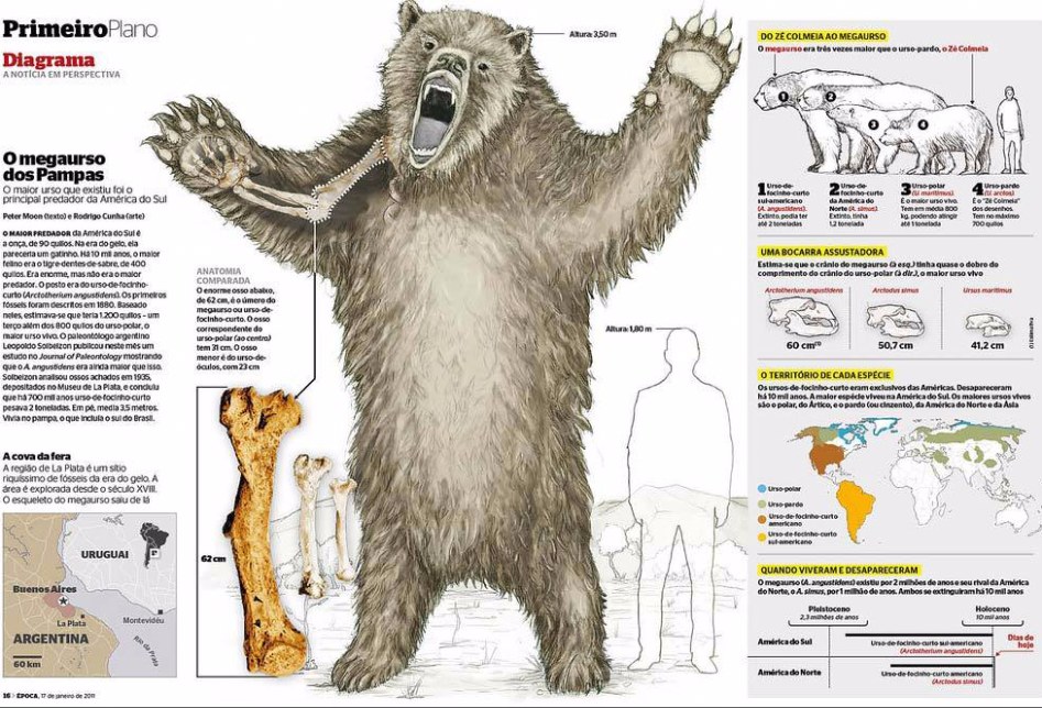 지구 역사상 가장 거대했던 곰 악토테리움 (Arctotherium)2.jpg