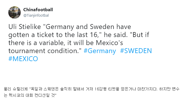 슈틸리케 감독의 F조 반응 .jpg_1.png