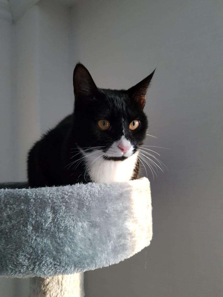 20대 후반 꿈을 이룬 나만의 공간_5.jpg