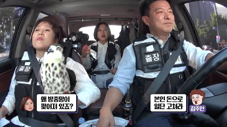 역사는 돌고 돈다.jpg_2.png