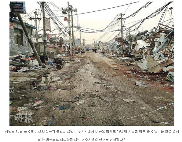 요즘 중꿔 근황.gisa_2.png