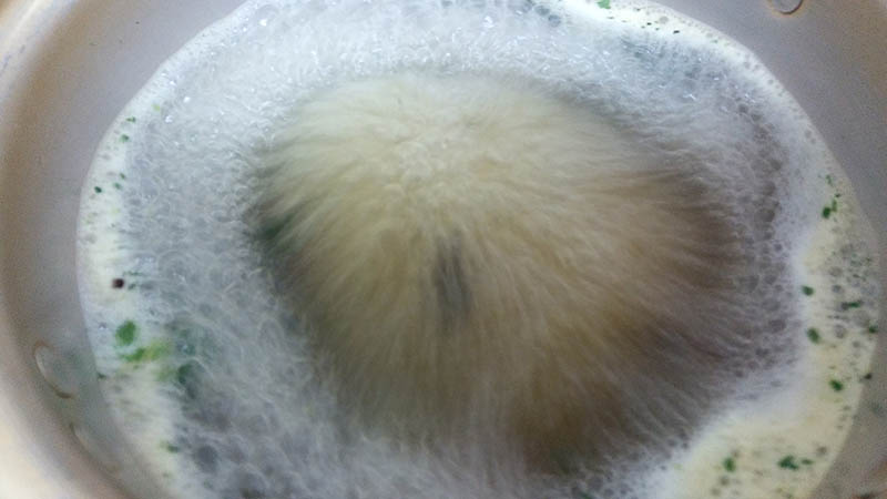 팔도 진국 설렁탕면/오뚜기 굴진짬뽕_8.jpg