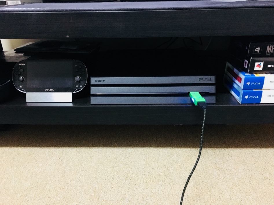 몬트리올에 온 지 벌써 1년_17.jpeg