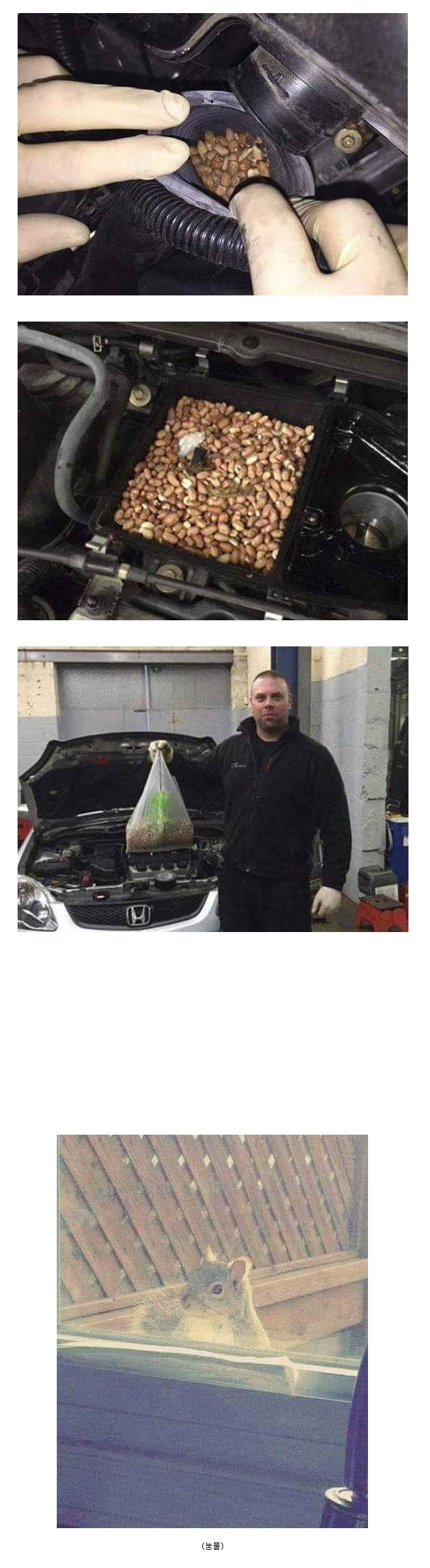 차가 이상해서 보닛을 열었더니...._1.png