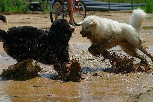 삼국지 인물사전 - 방덕편_29.jpg