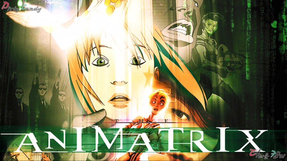 0710 The Animatrix.jpg