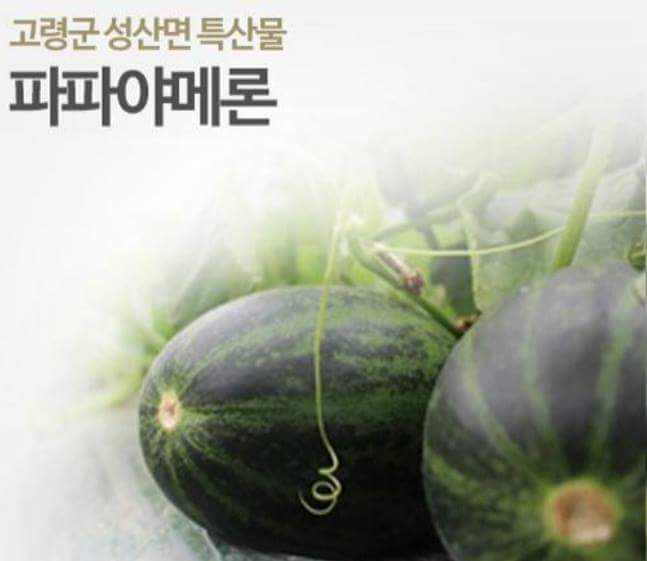 아빠! 그만해! 를 일본어로 하면?_1.jpeg