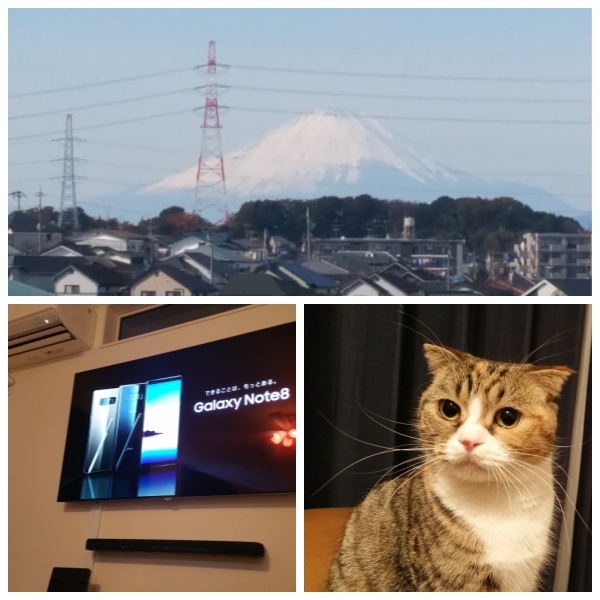 일본에서 집을 지었습니다._19.jpg