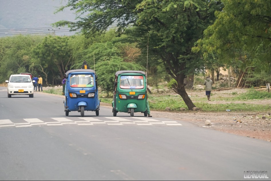(스압주의) 웰컴 투 사파리 파크 - 1편 탄자니아 응고롱고로_6.jpg