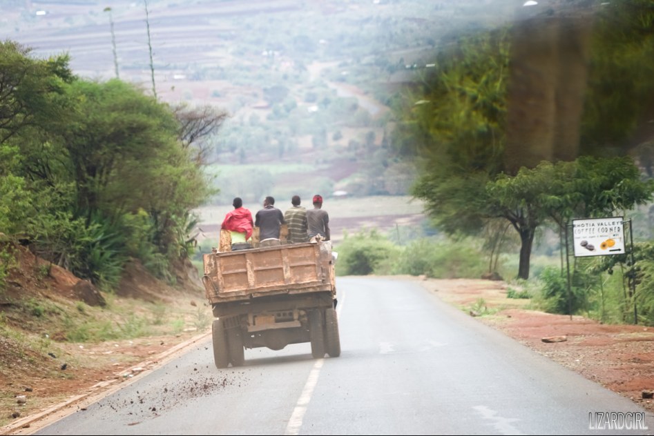 (스압주의) 웰컴 투 사파리 파크 - 1편 탄자니아 응고롱고로_7.jpg