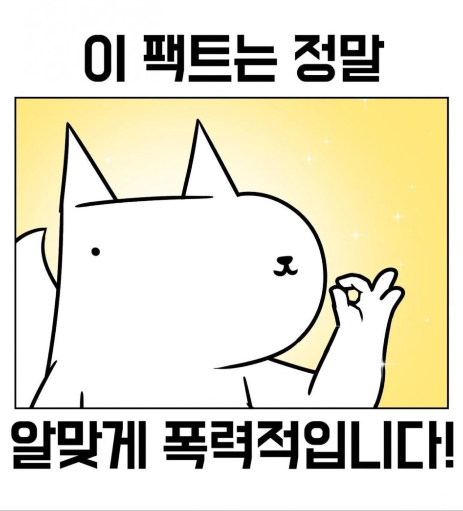 팩트 알맞.png