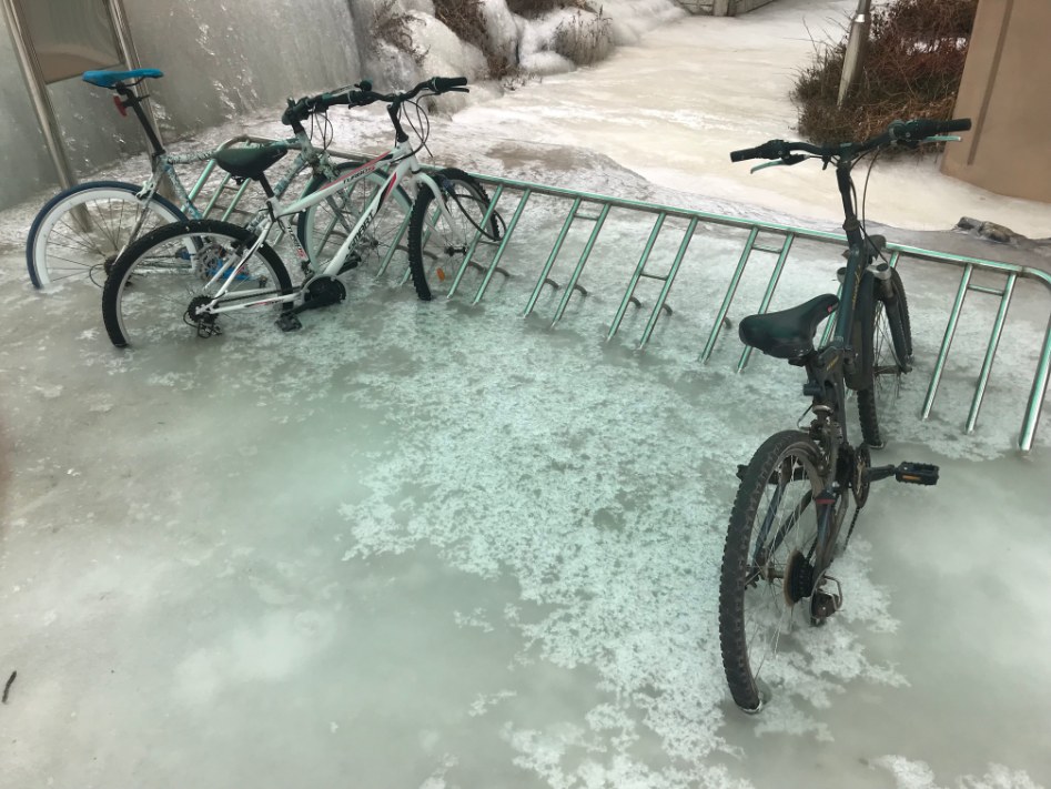 이 시각 강원도_1.jpg