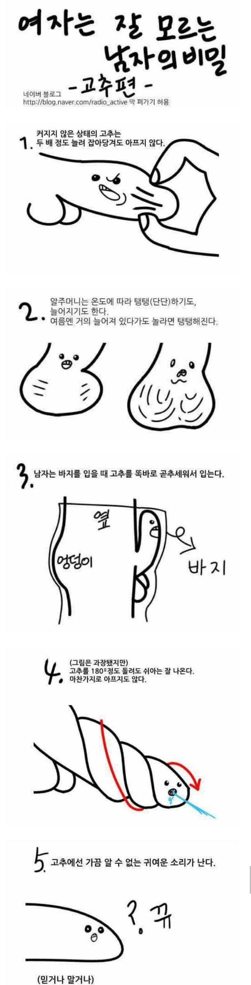 여자는 모르는 남자 꼬추의 비밀_1.jpg