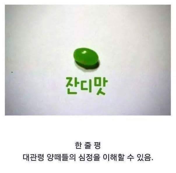 해리포터 온갖 맛이 나는 젤리 리뷰_3.jpg