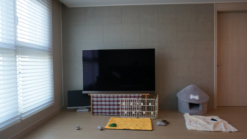 서른중반,, 시바와 같이사는 아재집_47.jpg