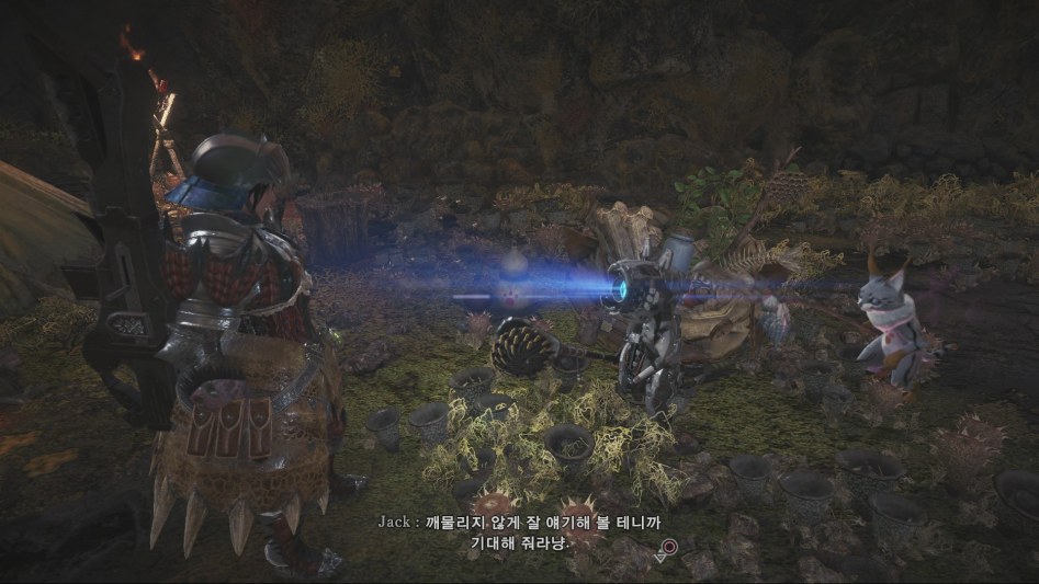 mhw_143.jpg