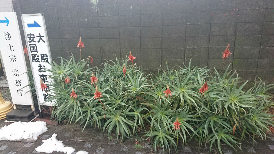 2월 1일 도쿄 여행. 여행 전날 및 첫날_15.jpg