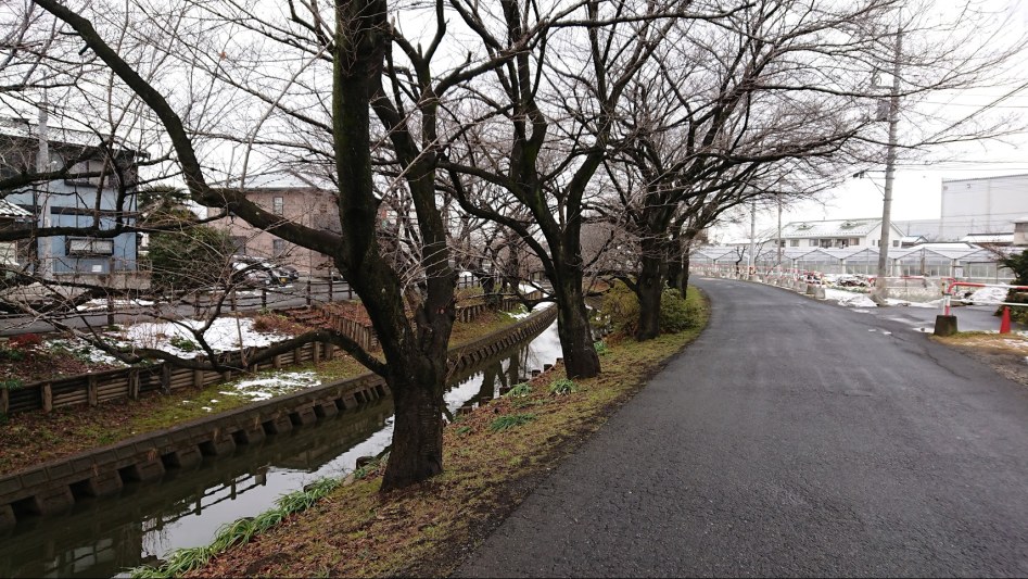 2월 2일 도쿄 여행 둘째날 - 카와고에 "달이 아름답다" 성지순례_8.jpg