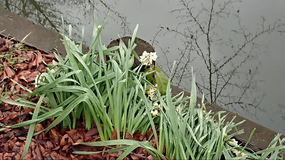 2월 2일 도쿄 여행 둘째날 - 카와고에 "달이 아름답다" 성지순례_9.jpg