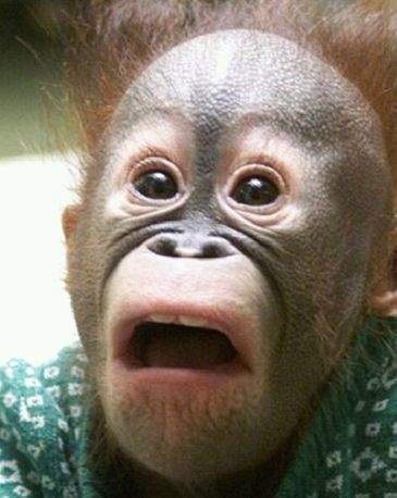 [허긋토! 프리큐어 2화] 사아야는 귀엽구나(SMT!)_193.jpg