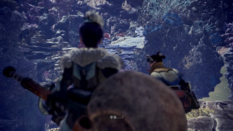 Monster Hunter_ World_20180130035543.jpg