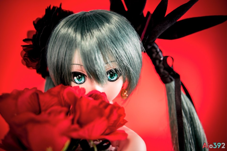 2017년에 찍은 DD 미쿠 사진들_1.jpg