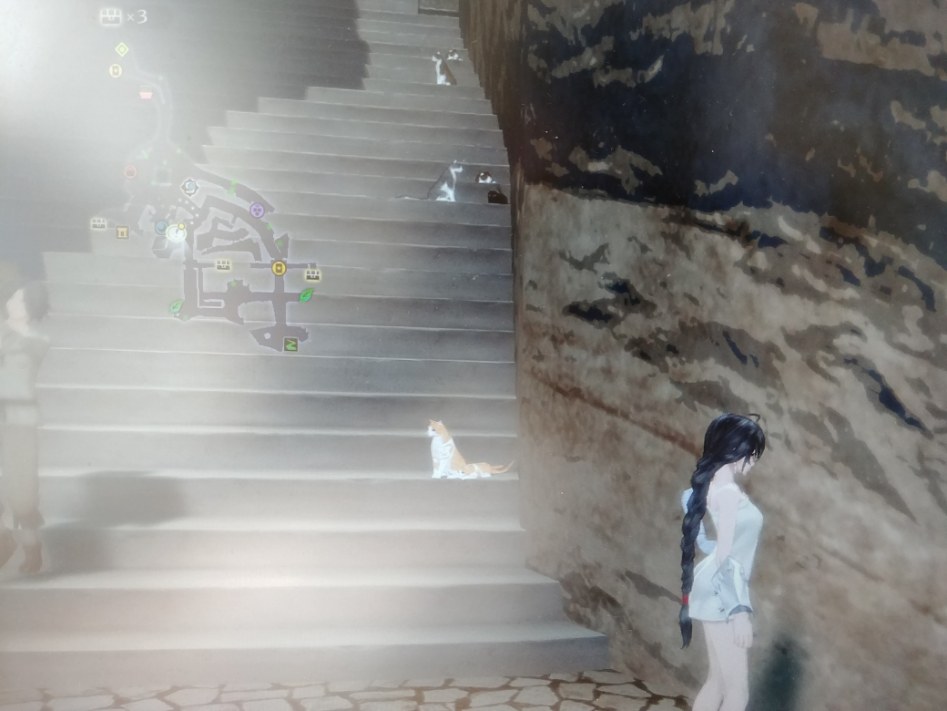 서브이벤트 고양이의 세계와 관련된 질문_2.jpg