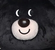 20180225_221219.jpg