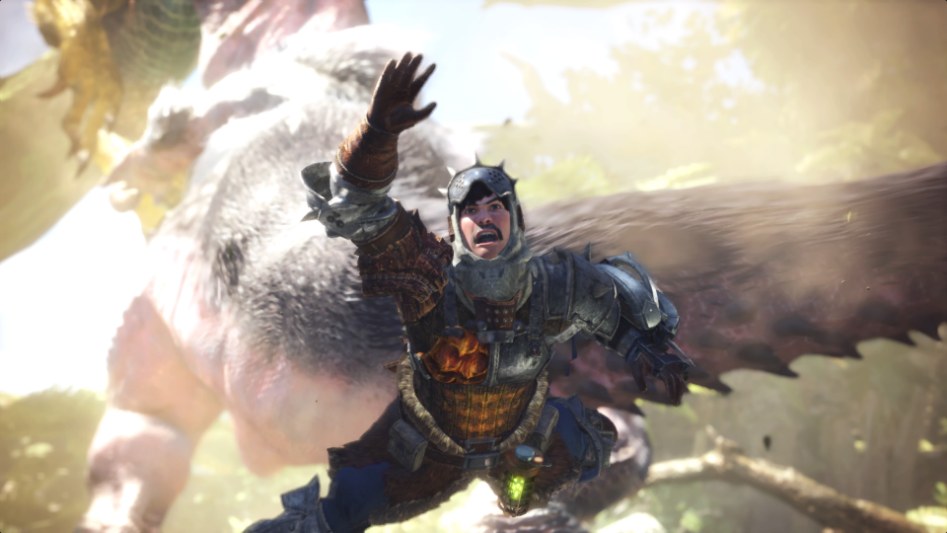 Monster Hunter_ World_20180126012749.jpg