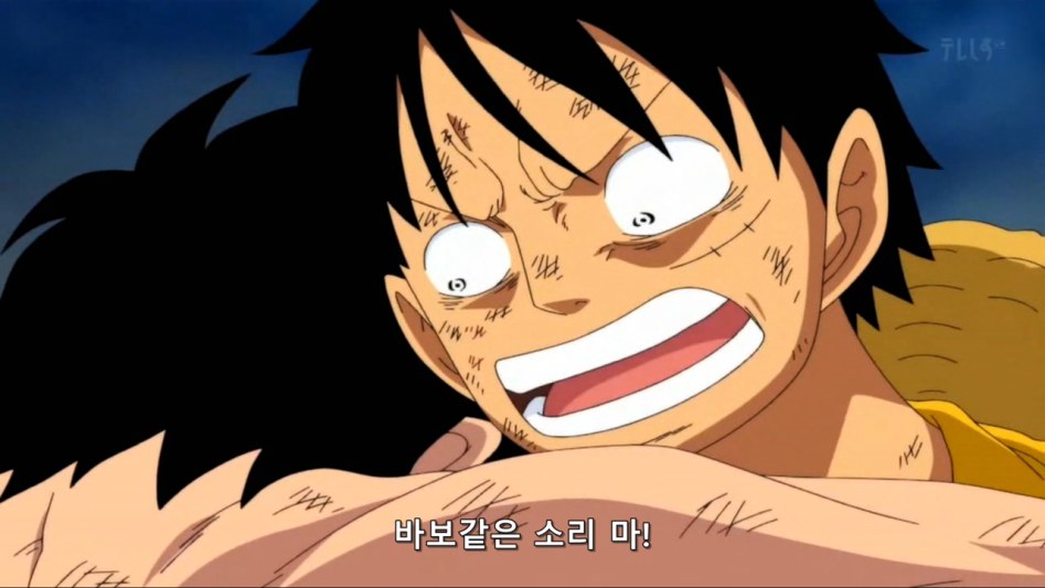 [원피스]이런 나를 사랑해줘서 고마워_11.jpg