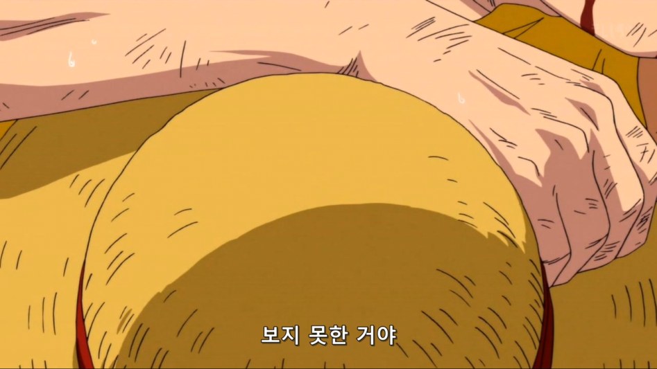 [원피스]이런 나를 사랑해줘서 고마워_22.jpg
